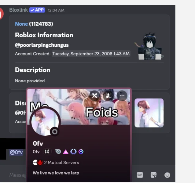 The Bloxlink resolution from the report