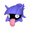 Shellder avatar